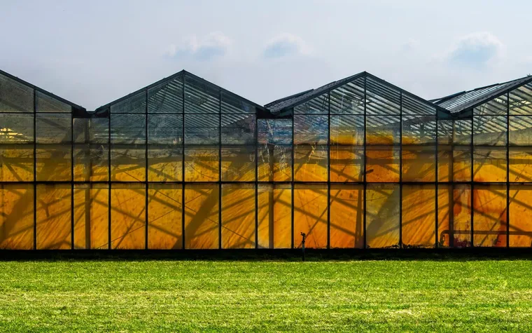 Polycarbonate Greenhouses: The Durable, Efficient, and Cost-Effective Choice for Year-Round Gardening