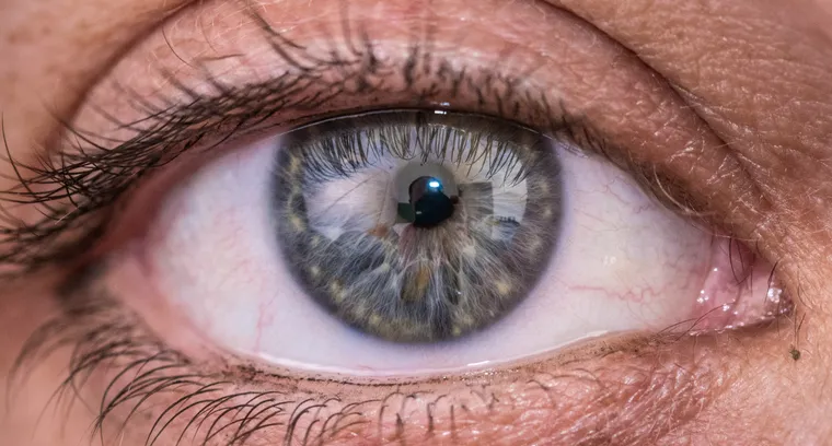 Reversing Macular Degeneration: A New Era of Hope for Vision Restoration